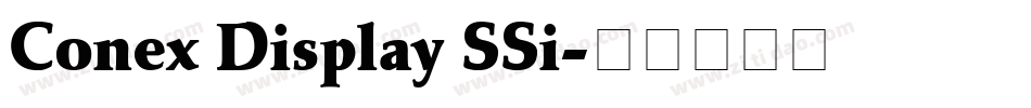 Conex Display SSi字体转换